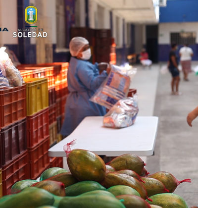 PAE 6 SOLEDAD .Imagen fija031