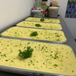 WhatsApp Image 2020-11-27 at 19.16.36