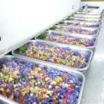 WhatsApp Image 2020-11-30 at 11.22.52