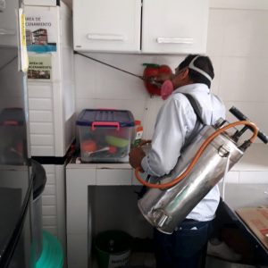 WhatsApp Image 2020-01-22 at 09.37.47