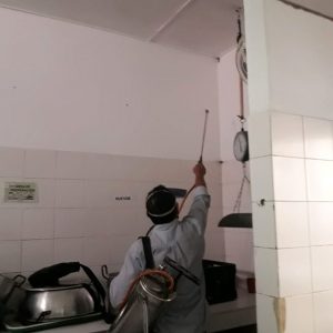 WhatsApp Image 2020-01-22 at 10.47.22