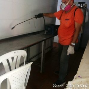 WhatsApp Image 2020-01-22 at 10.52.39