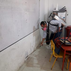 WhatsApp Image 2020-01-22 at 11.11.41