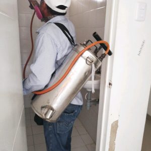 WhatsApp Image 2020-01-23 at 09.24.29 (1)