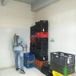 WhatsApp Image 2020-01-23 at 10.03.56