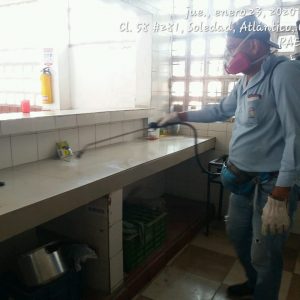 WhatsApp Image 2020-01-23 at 11.29.23