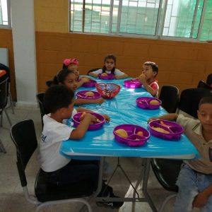 WhatsApp Image 2020-01-27 at 11.21.40