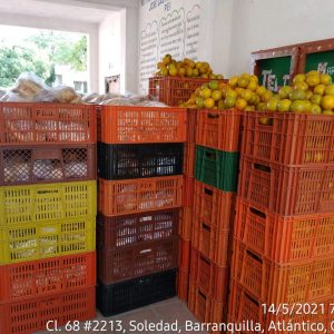 WhatsApp Image 2021-05-14 at 8.57.59 AM