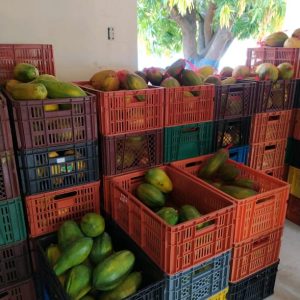 WhatsApp Image 2021-05-18 at 10.43.50 AM (1)