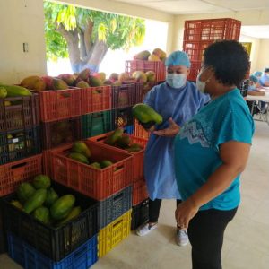 WhatsApp Image 2021-05-18 at 10.43.51 AM