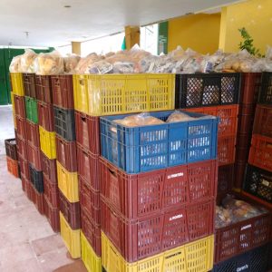 WhatsApp Image 2021-05-18 at 9.09.10 AM