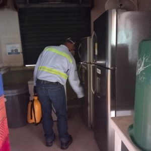 WhatsApp Image 2022-01-25 at 10.23.23 AM