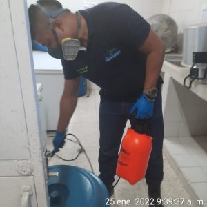 WhatsApp Image 2022-01-25 at 9.56.11 AM